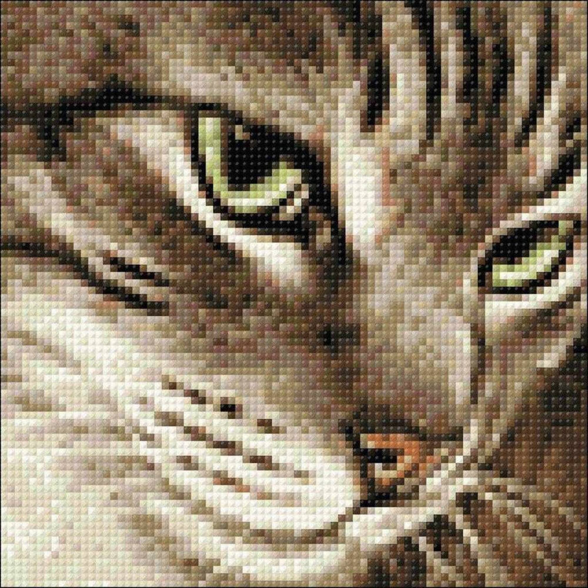 Crafting Spark Mysterious Cat Diamond Painting Kit